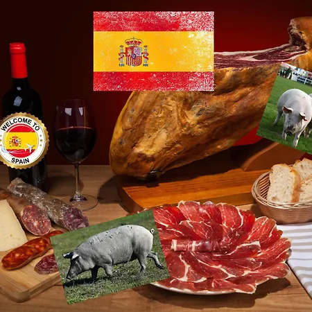 Antonio De Alacant Aaa 83